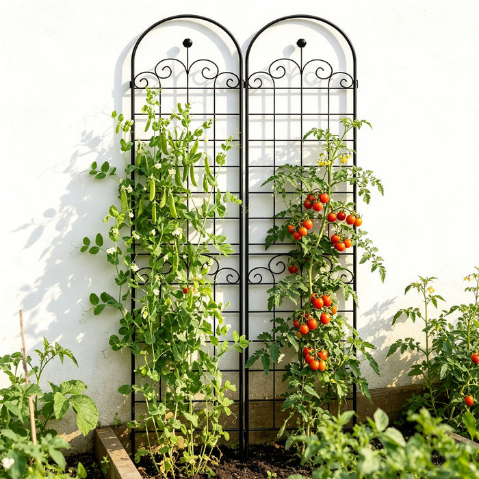 Metal Garden Trellis For Climbing Plants Outdoor Rustproof Plant Support Rose Trellis Netting Trellis Daily Nest