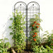 Metal Garden Trellis For Climbing Plants Outdoor Rustproof Plant Support Rose Trellis Netting Trellis Daily Nest