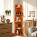5 Tier S - Shaped Corner Shelf For Living Room Home Essentials