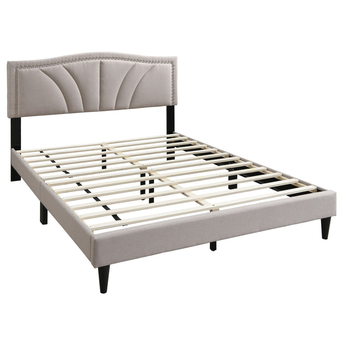 Bed With Nailhead Trim Accents, Upholstered Platform Frame Home Essentials
