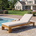 Outdoor Chaise Lounge With 5 Position Adjustable Backrest Noble House