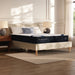 Dreamcloud Classic Memory Foam - Queen Mattress - White Dreamcloud