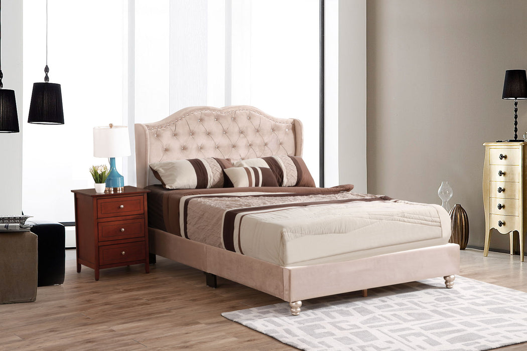 Upholstered Velvet Bed Transitional