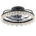 Ceiling Fan With Light, Flower Caged Ceiling Fan With Remote, LED Low Profile Ceiling Light - Matte Black Daily Nest