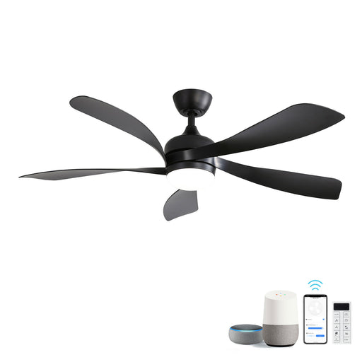 Ceiling Fan & DC Motor And Integrated Light Daily Nest