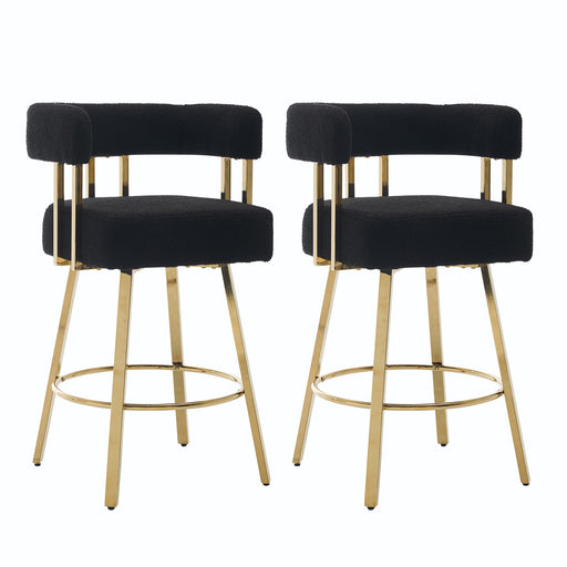 Decorative Upholstered Side Chair For Living Room (Set of 2) Home Essentials