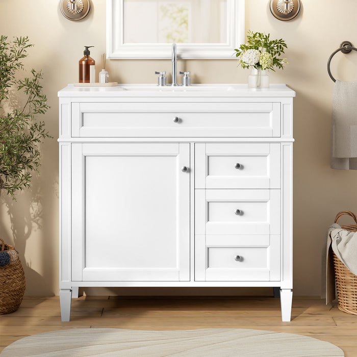 Bathroom Vanity With Top Sink, 2 Drawers, Tip Out Drawer Hearth and Haven