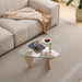 Modern Center Coffee Table Home Essentials