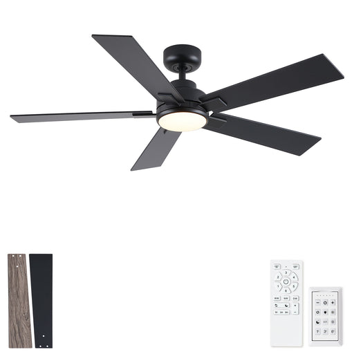 Reversible Motor Integrated LED Dimmable Ceiling Fan With Light Daily Nest