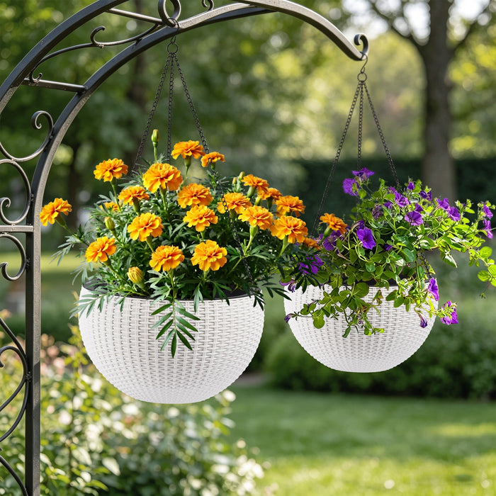 Self Watering Hanging Planter Daily Nest