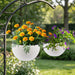 Self Watering Hanging Planter Daily Nest
