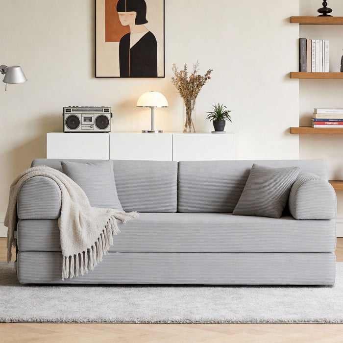 Convertible Sleeper Sofa Bed For Living Room Home Essentials