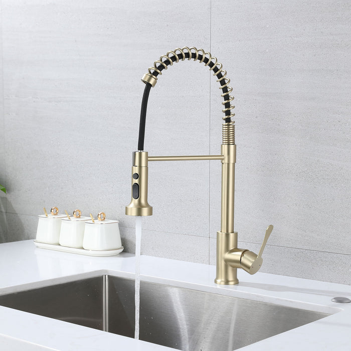Kitchen Faucet With Pull Down Sprayer, High Arc Single Handle Kitchen Sink Faucet, Commercial Modern Stainless Steel Kitchen Faucets - Brushed Gold