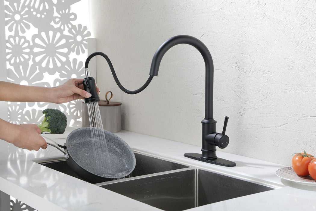 Kitchen Faucet With Pull Out Spraye Stainless Steel - Black