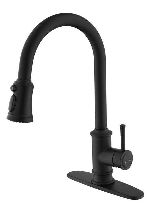 Kitchen Faucet With Pull Out Spraye Stainless Steel - Black