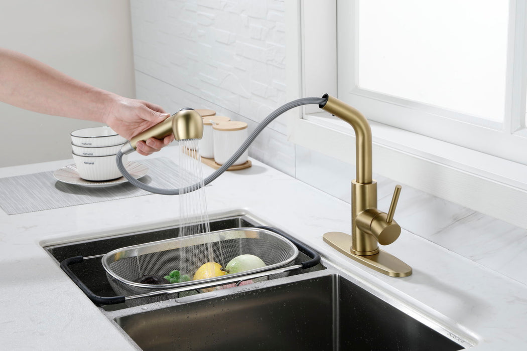 Utility Sink Faucets Single Handle Pull-Out Laundry Faucet With Dual Spray Function In Stainless Spot Resistant Gold