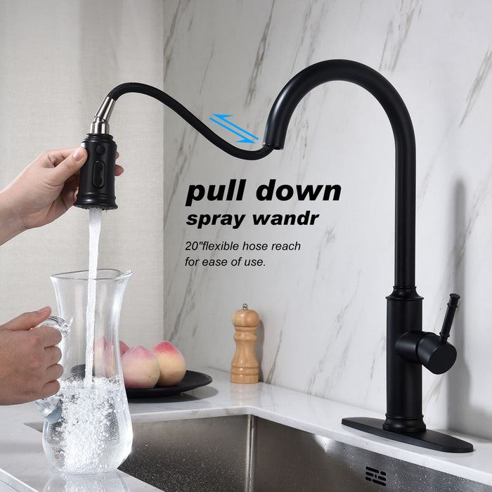 Kitchen Faucet, Pull -Out Sprayer - Black