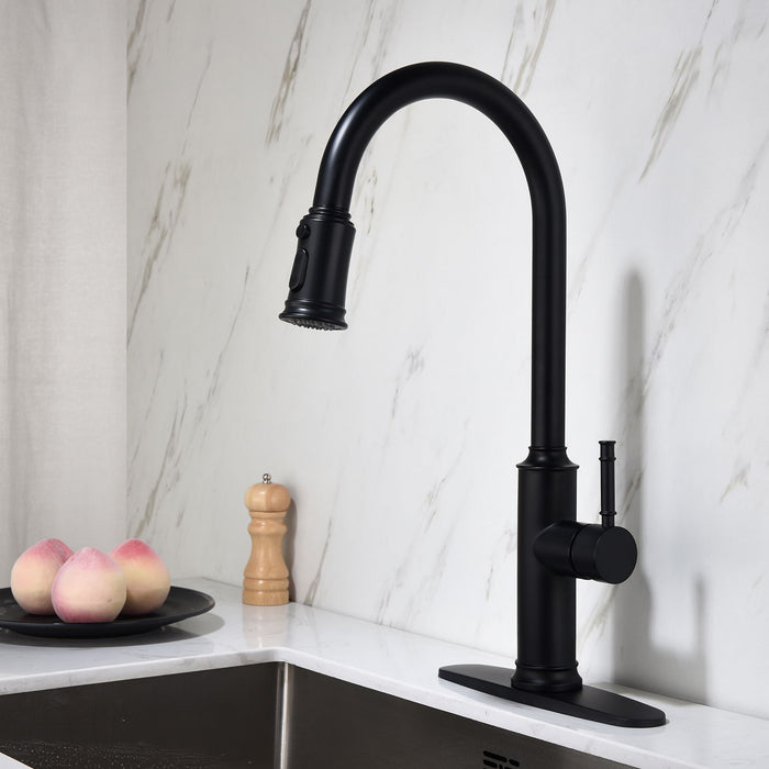 Kitchen Faucet, Pull -Out Sprayer - Black