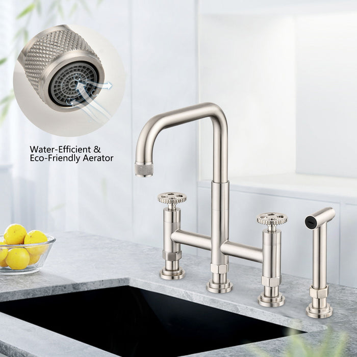 Double Handle Bridge Kitchen Faucet With Side Spray Brushed Nickel