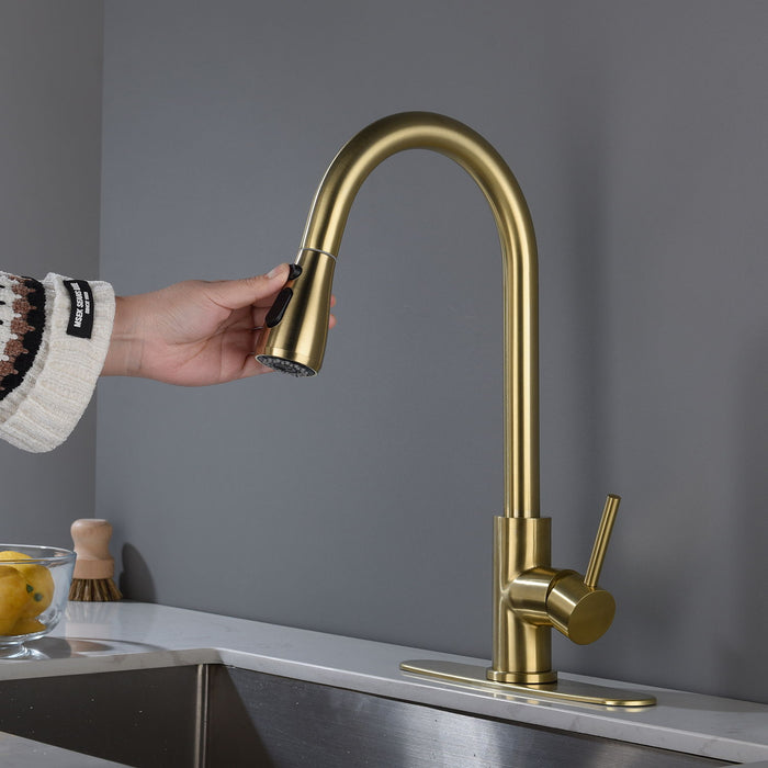 Kitchen Faucet With Pull -Out Spraye - Gold