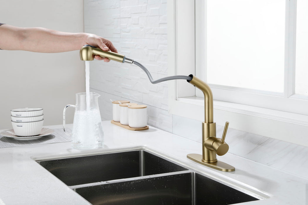 Utility Sink Faucets Single Handle Pull-Out Laundry Faucet With Dual Spray Function In Stainless Spot Resistant Gold
