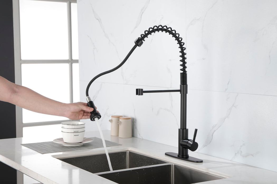 Kitchen Faucet With Pull Out Spraye Matte