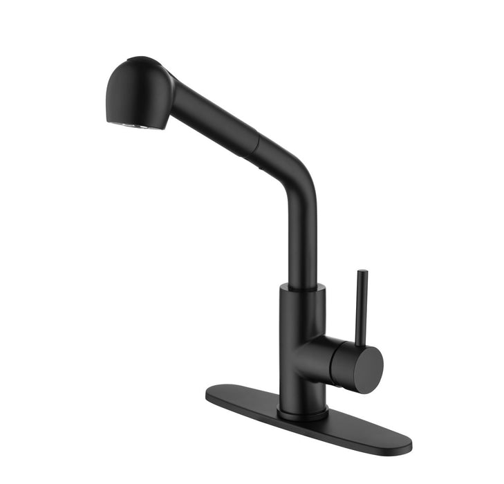 Matte Black Kitchen Faucets With Pull Down Sprayer, Single Handle Sink Faucet With Pull Out Sprayer