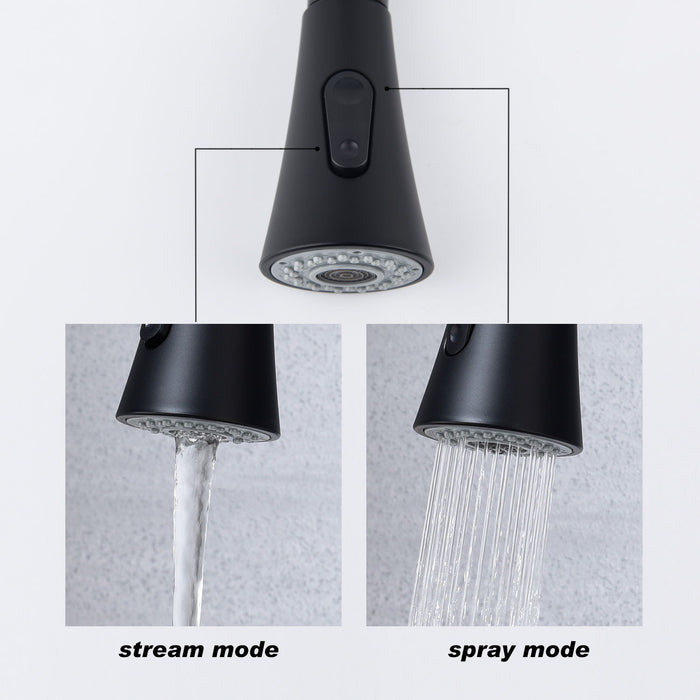 Kitchen Faucet, Pull Out Sprayer Matte - Black