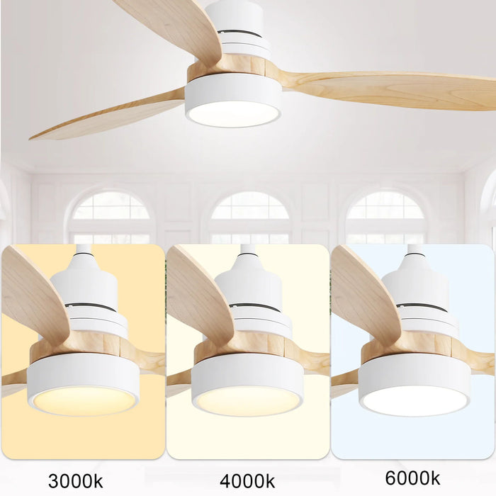 Ceiling Fan Light With 6 Speed Remote Reversible Energy - Saving DC Motor Remote Control For Bedroom