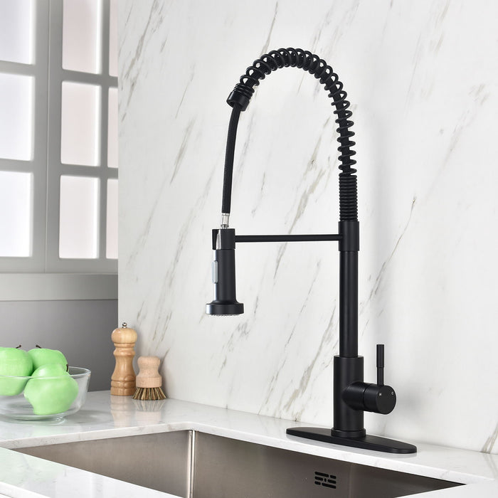 Kitchen Faucet, Pull -Out Sprayer